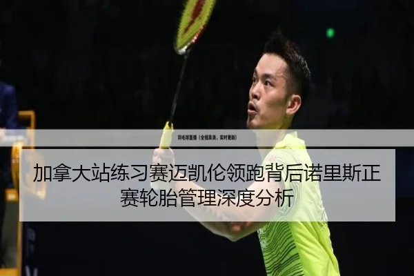 加拿大站练习赛迈凯伦领跑背后诺里斯正赛轮胎管理深度分析
